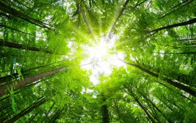 szolgaltatasok_kiegesmegelozes szolgaltatasok_kiegesmegelozes