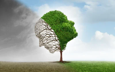 szolgaltatasok_szupervizio szolgaltatasok_szupervizio